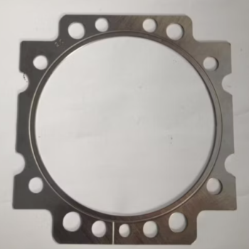 Gasket – 5562031380