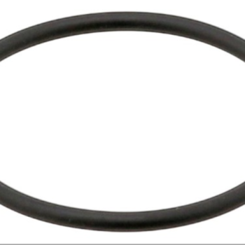 Seal Ring – 550981385