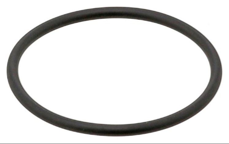 Seal Ring – 550981385
